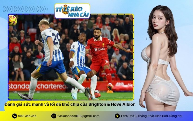 Đánh giá sức mạnh và lối đá khó chịu của Brighton & Hove Albion