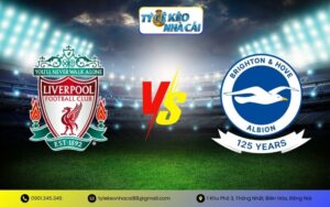 Liverpool với Brighton & Hove Albion